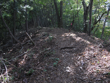 20151014hike (128)